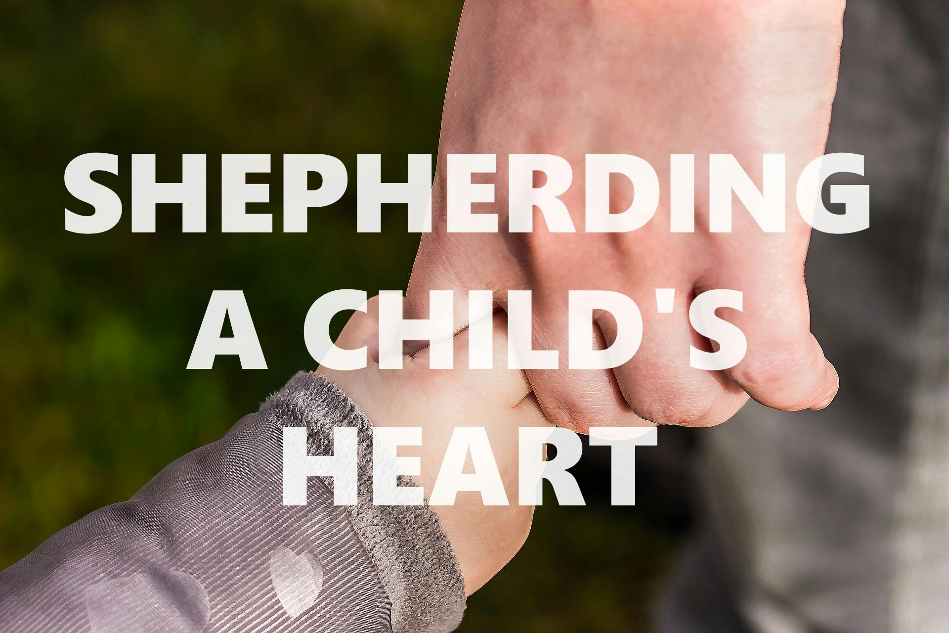 Shepherding A Child`s Heart
